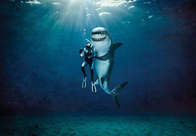 Алексей Соколовский ..ιllιlι.ιl. | Казань