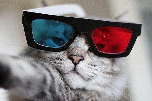 №8, Евгений Муратов №8, Евгений Муратов