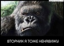 Фотография Данис Яхин