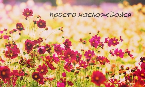 №83, Ізабелла Кошель №83, Ізабелла Кошель