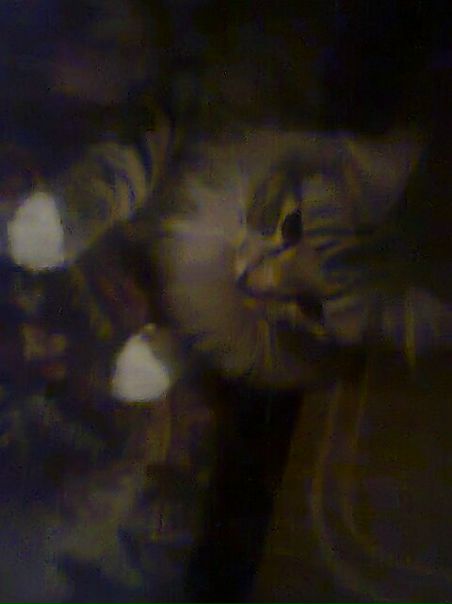 №16, Татьяна Хамидулина-Кондратьева №16, Татьяна Хамидулина-Кондратьева