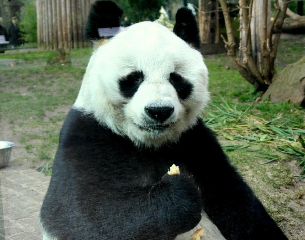 №10, Михаил Ржепишевский, Одесса №10, Михаил Ржепишевский, Одесса