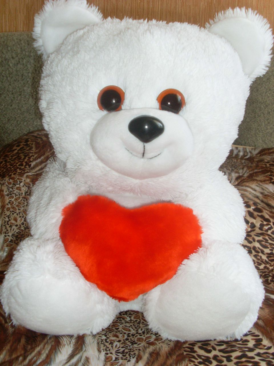 Анастасия Тимченко | Суздаль