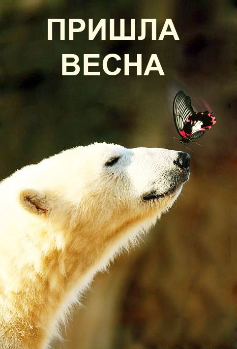 Вадим Спицкий | Москва