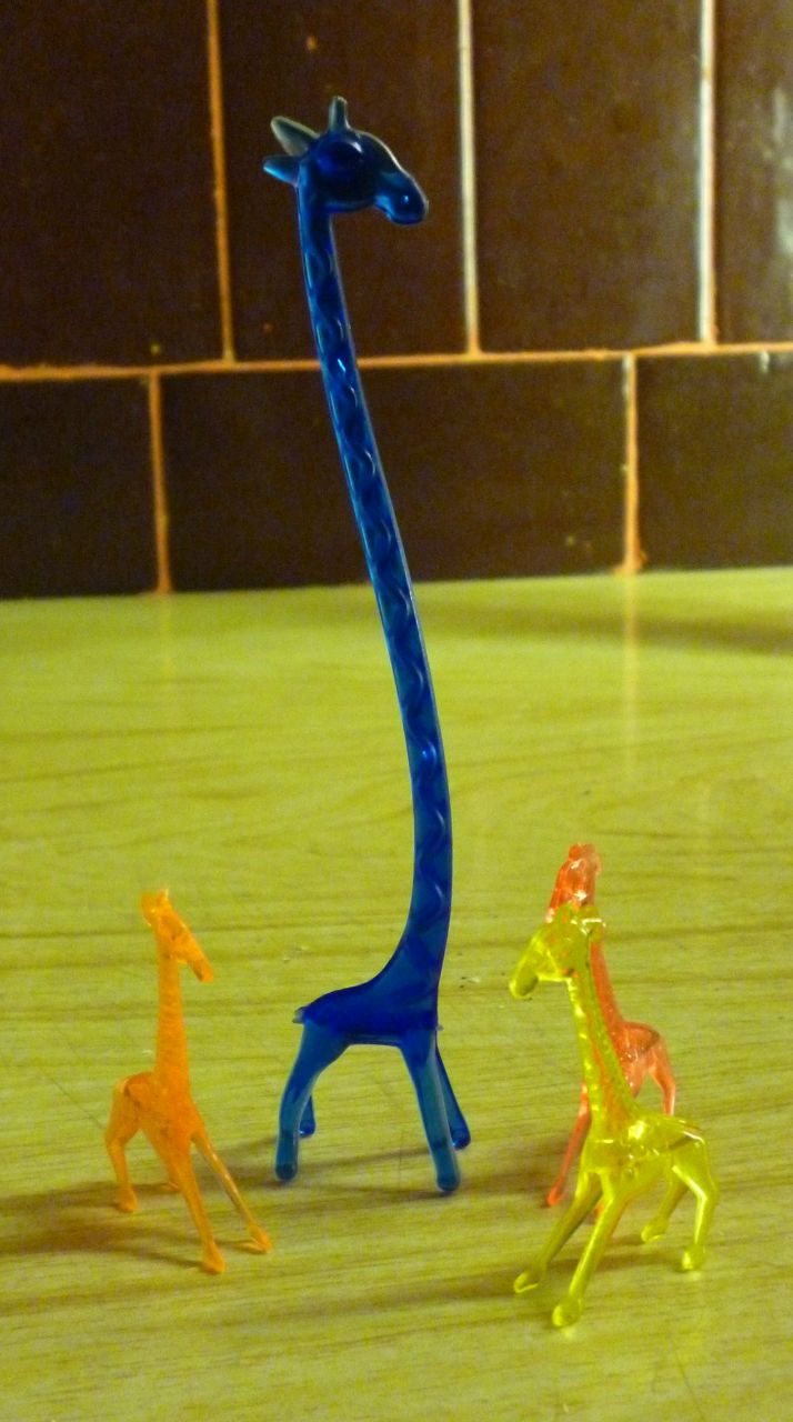 Виктор Громик | Калининград