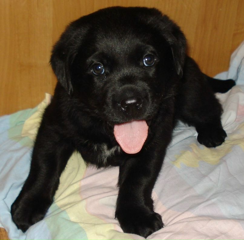 Наталья Ефимкина | Красноярск