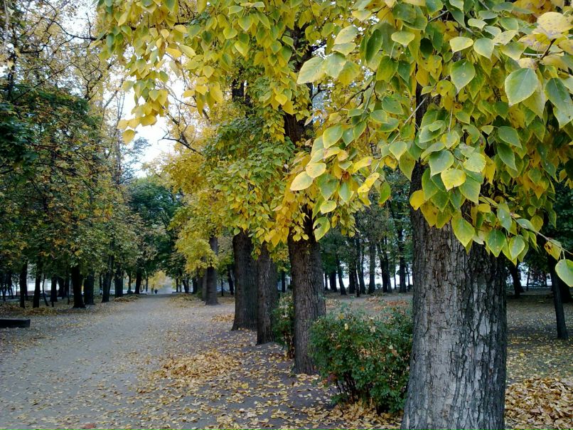 Olya Burjanova | Кропивницкий / Кировоград