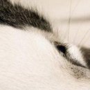 №89, Дмитрий Ожерельев, Борисоглебск №89, Дмитрий Ожерельев, Борисоглебск