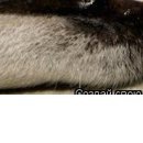 №182, Дмитрий Ожерельев, Борисоглебск №182, Дмитрий Ожерельев, Борисоглебск