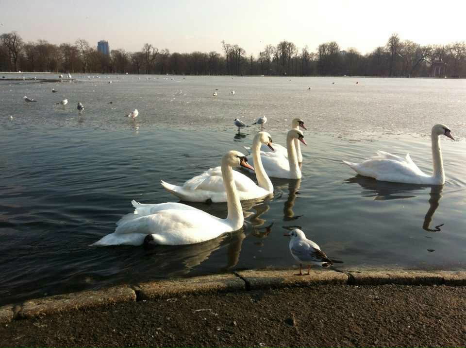 Юрий Ляшко | Москва