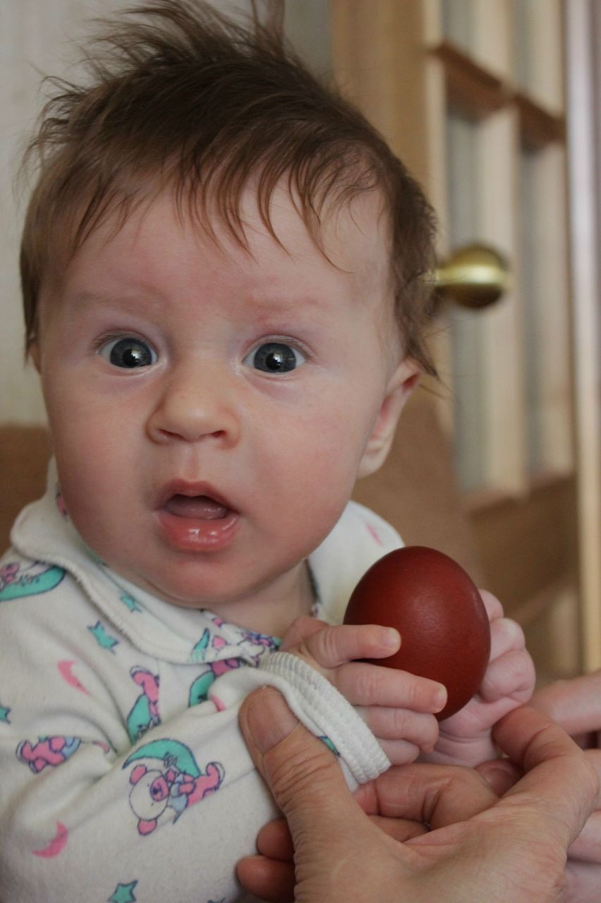 Гертруда Емельянова | Санкт-Петербург