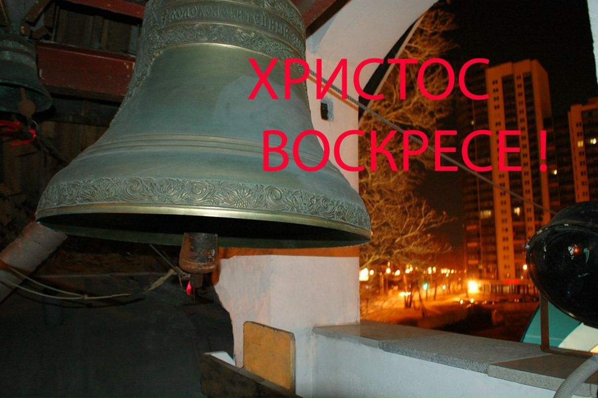 Людмила Андреева | Санкт-Петербург