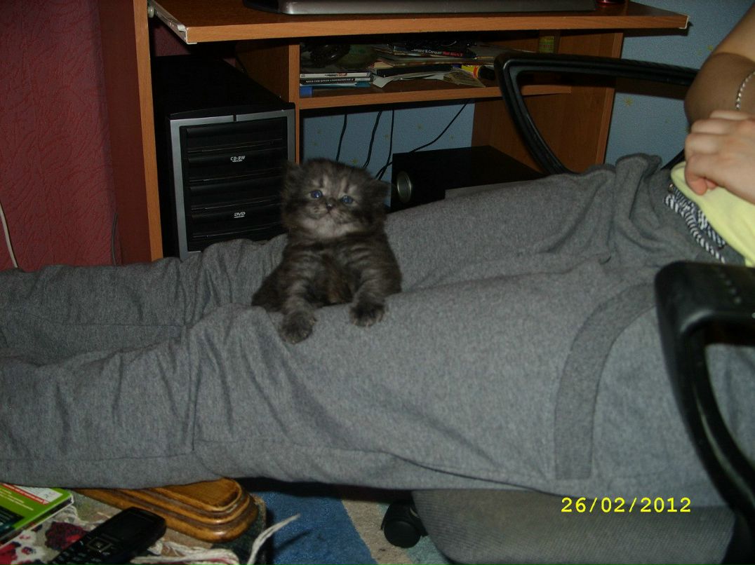 Александр Рудый | Ейск