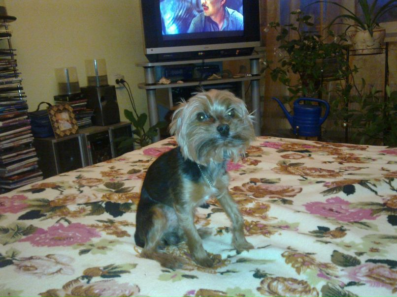 Ирина Лазоркина | Москва