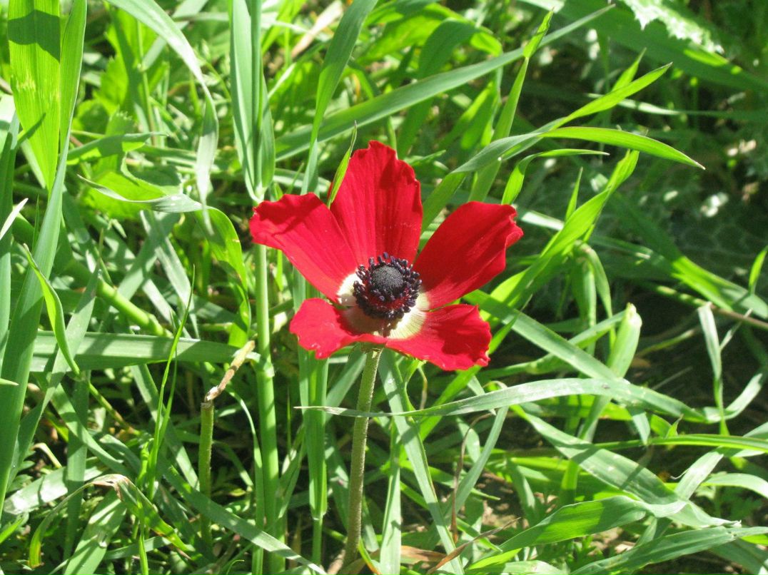 Дина Розенталь | Москва