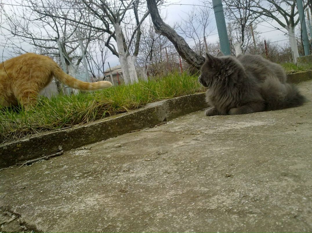 Максим Дешук | Одесса