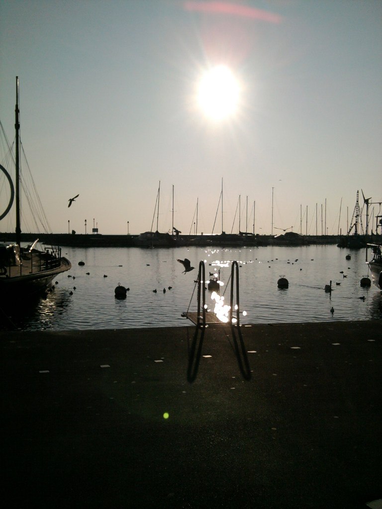 Виктория Белахонова | Одесса