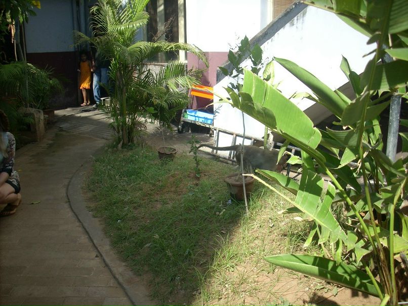 Антонина Окорокова | Ульяновск