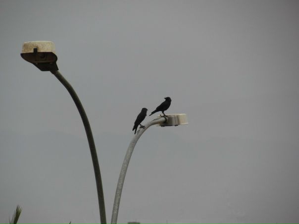 №106, Zhunya Ajx, 32 года, Санкт-Петербург №106, Zhunya Ajx, 32 года, Санкт-Петербург