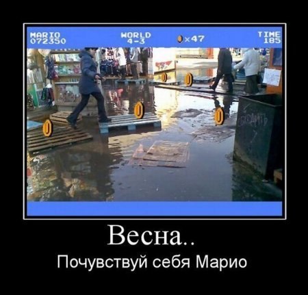№70, Алена Кабирова, 34 года, Ярославль №70, Алена Кабирова, 34 года, Ярославль