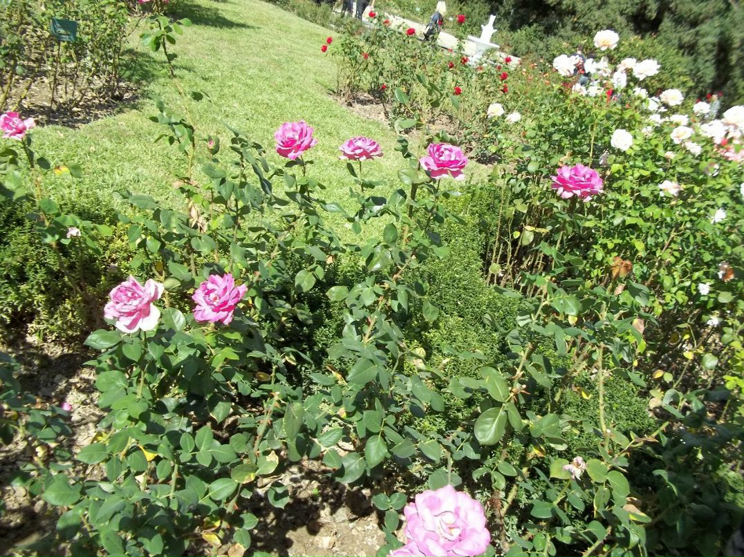 Алексей Зинюк | Бердянск