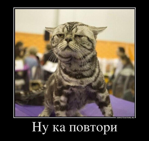 №170, Анастасия Gabber, Одесса №170, Анастасия Gabber, Одесса