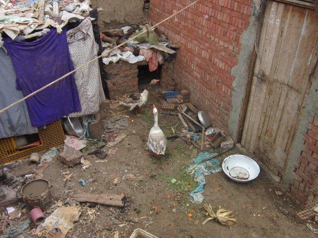 Юлия Гамаль | Taba