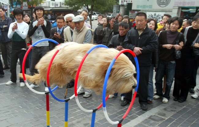 Максим Линьков GbIR | Санкт-Петербург