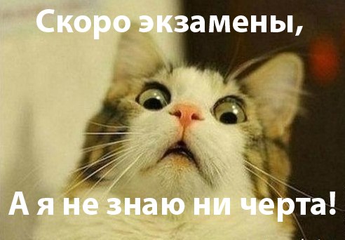 Кирилл Чуканов | 