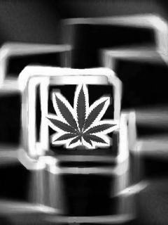 №136, Руслан Новожилов, 32 года, Вологда №136, Руслан Новожилов, 32 года, Вологда