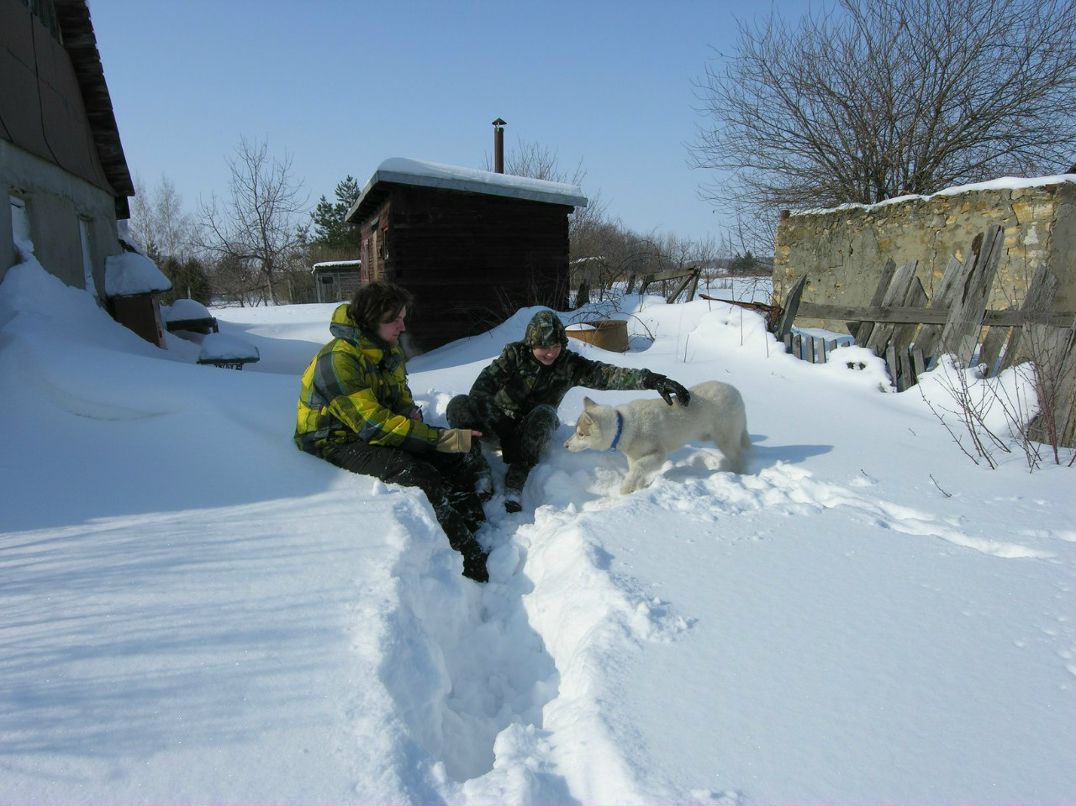 Järvi Bars | Москва