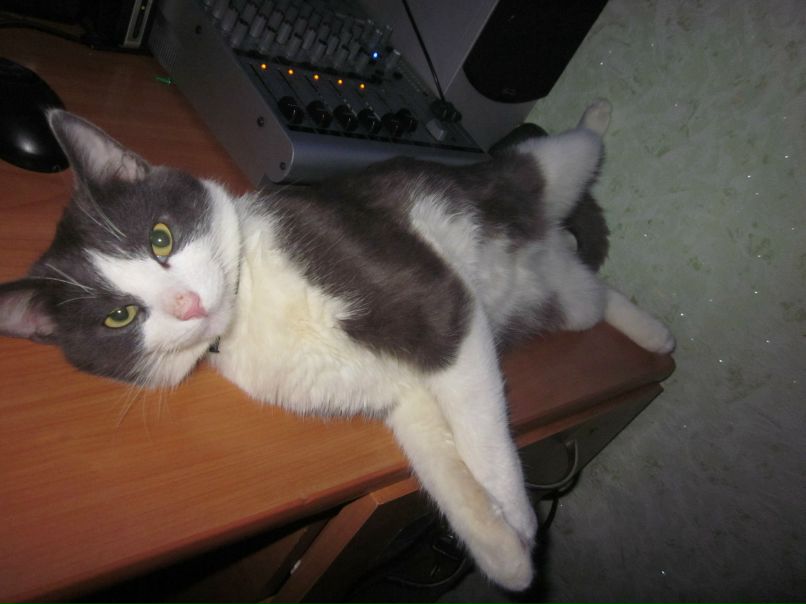 Vitek Records ᶘ ᵒᴥᵒᶅ                                                                                             | Николаев