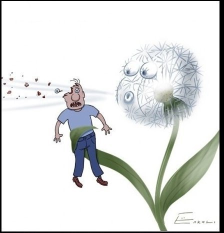 Роман Фокин | Киров