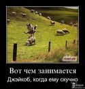 Laura Isaeva, Алматы, Казахстан, 