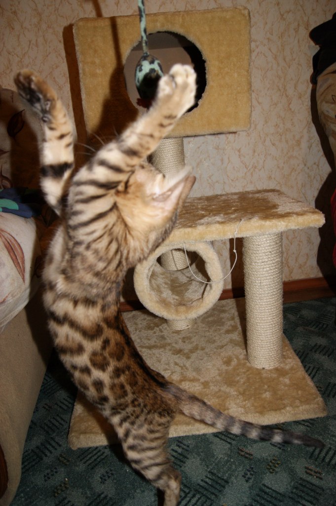 Андрей Матлах | Хурба