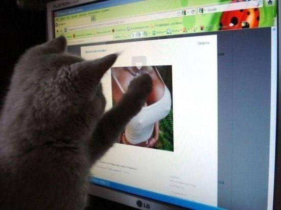 №84, Александр Шабалин, 40 лет, Омск №84, Александр Шабалин, 40 лет, Омск