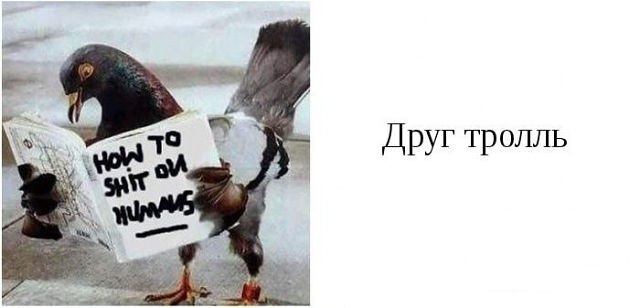 Яна Сабадашева | Владивосток