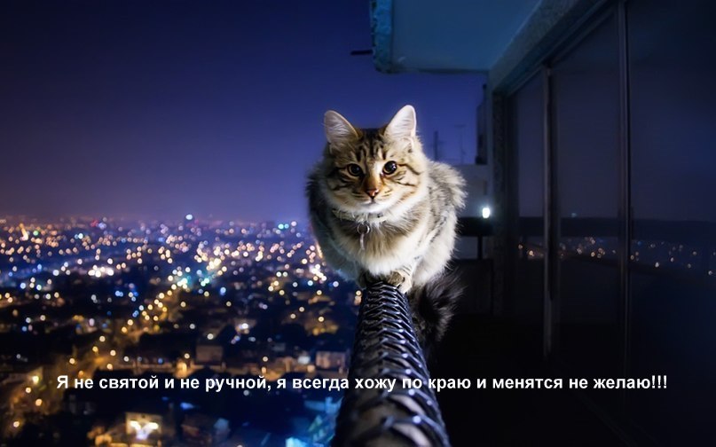 Андрей Немировский | Днепр (Днепропетровск)