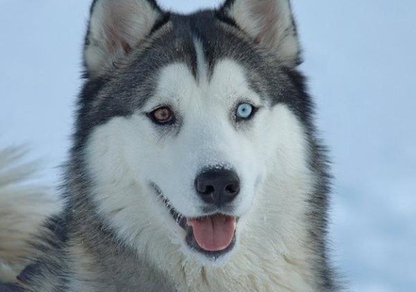 Юра Сивохин | Нижний Новгород