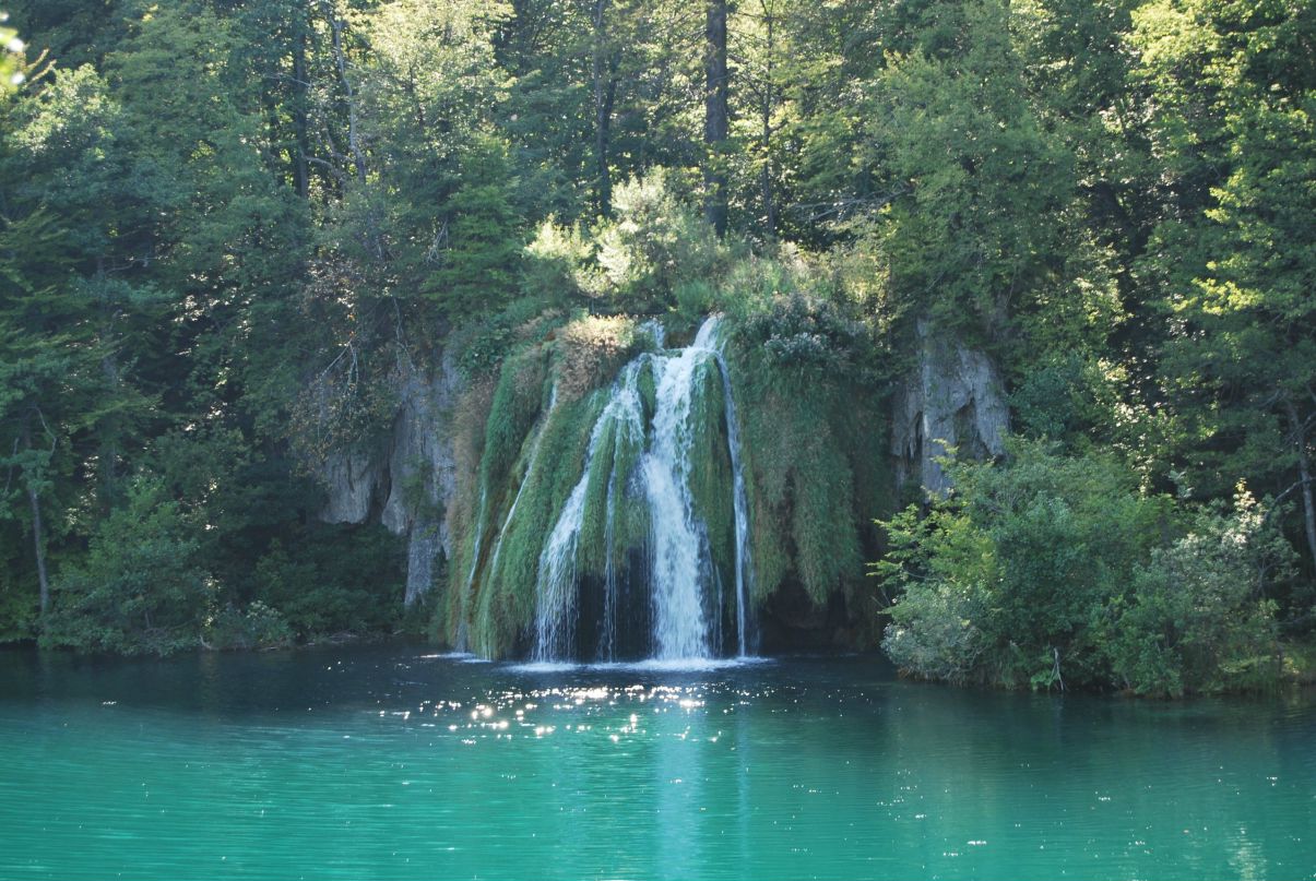 Дмитрий Сипагин | Санкт-Петербург