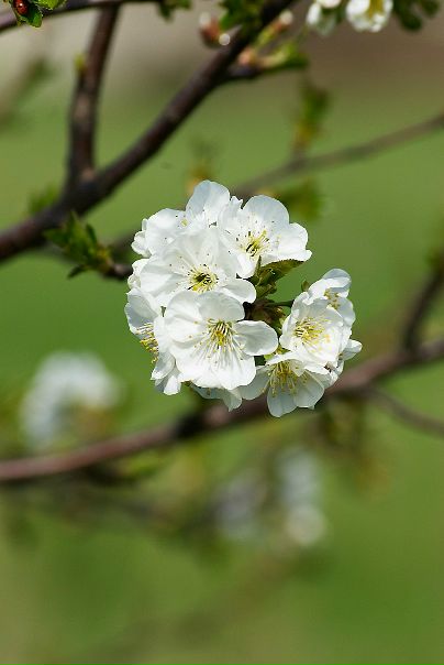 №88, Виталий Немченко, 65 лет, Краснодар №88, Виталий Немченко, 65 лет, Краснодар