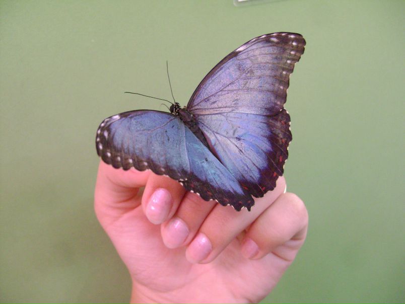 №114, Александра Храмцова, Екатеринбург №114, Александра Храмцова, Екатеринбург