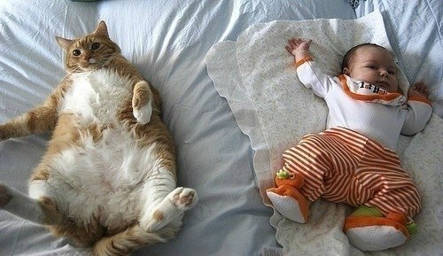 Наталья Долгова | Москва