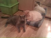 №19, Галина Михайловская, 7.11.1979, 46 лет, Москва, Россия