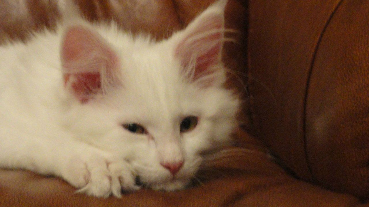 Borodiy Yuriy | Одесса