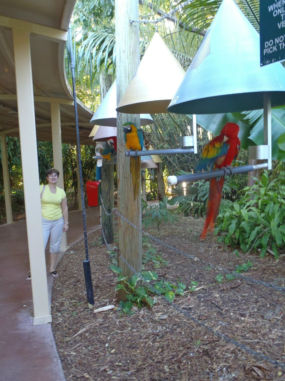 Valeriy Sheyfer | Санкт-Петербург