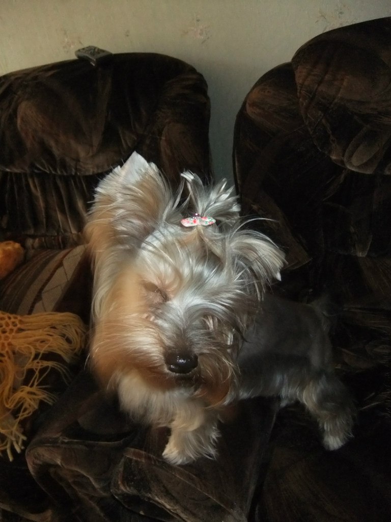 Дмитрий Бабенко | Москва