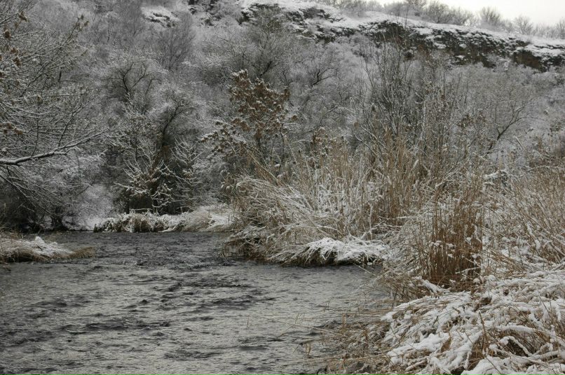 Светлана Шестова | Донецк