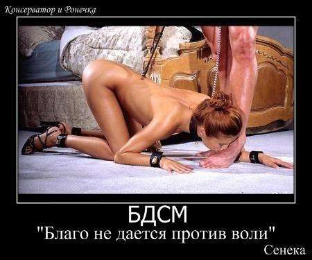 Алексей Домантович | Краснодар