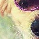 №31, Александр Хоин, Запорожье №31, Александр Хоин, Запорожье